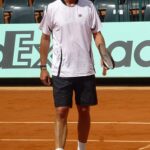 Andrei Medvedev Quiz