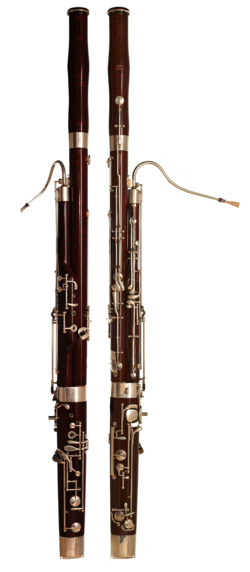 Bassoon Quiz
