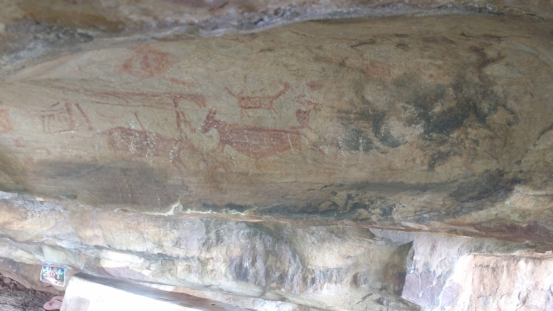 Belan Valley Archaeology Quiz | Neolithic India Belan Valley Panchmukhi Rock