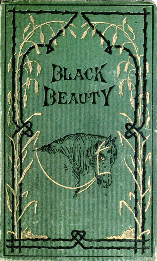 Black Beauty Quiz