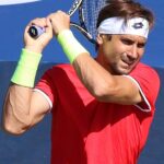 David Ferrer Quiz