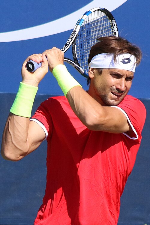 David Ferrer Quiz