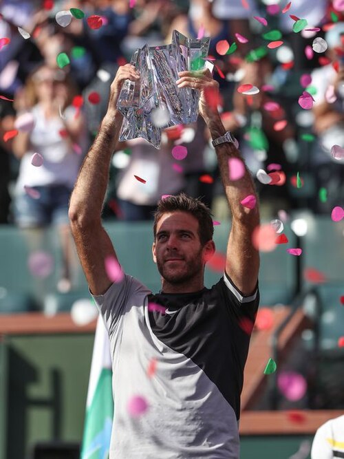 Juan Martin del Potro Quiz