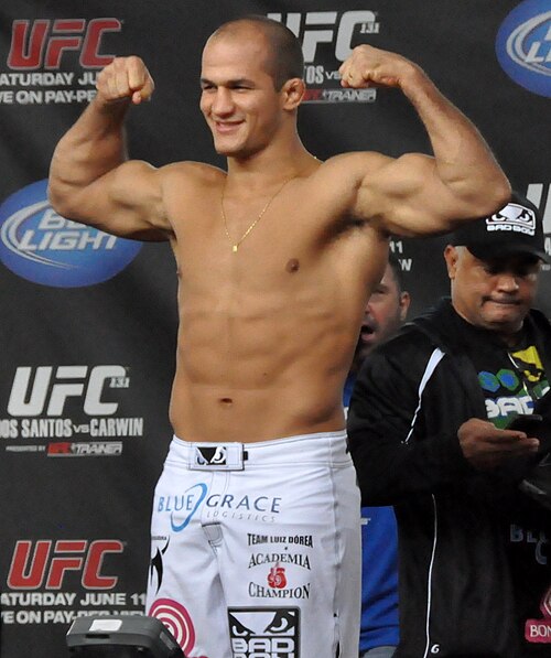 Junior dos Santos Quiz