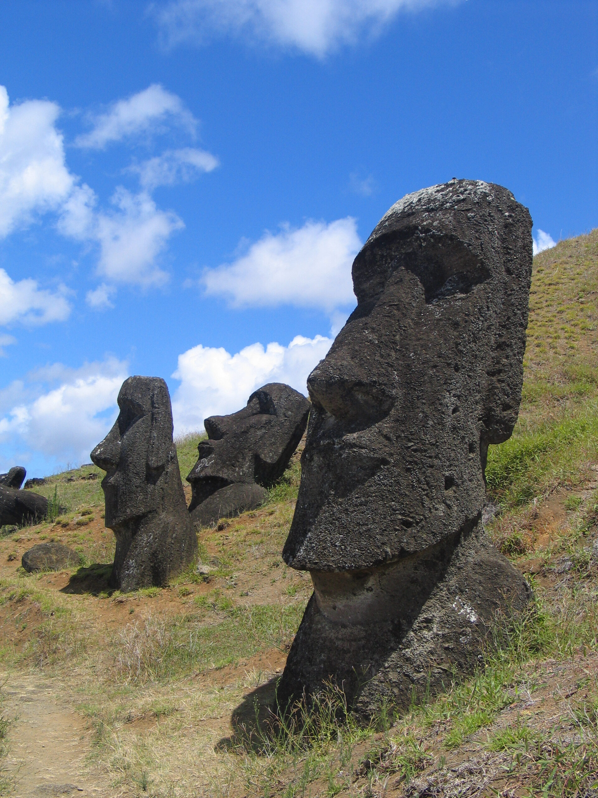 Moai Quiz Moai