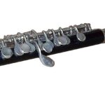 Piccolo Quiz Questions and Answers Piccolo Quiz