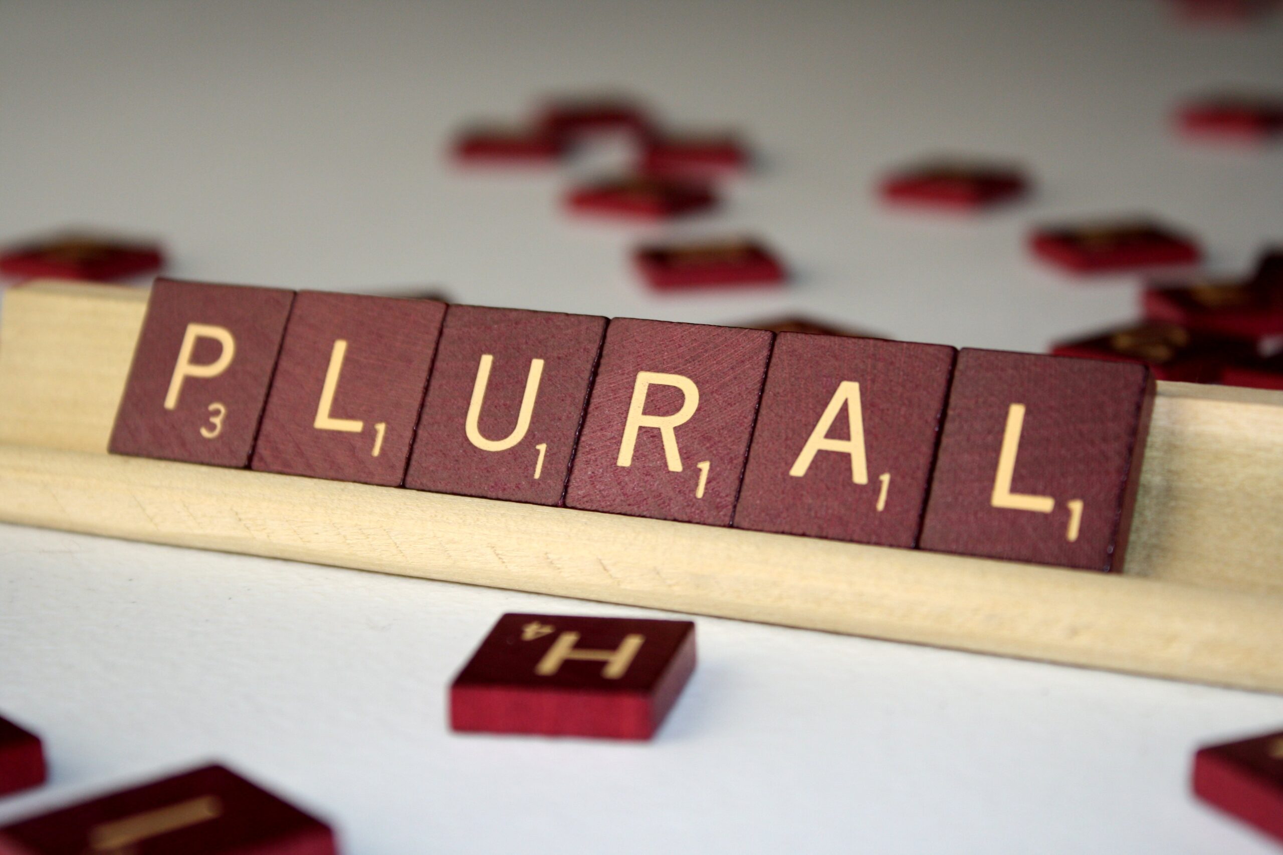Plural Quiz I Plural