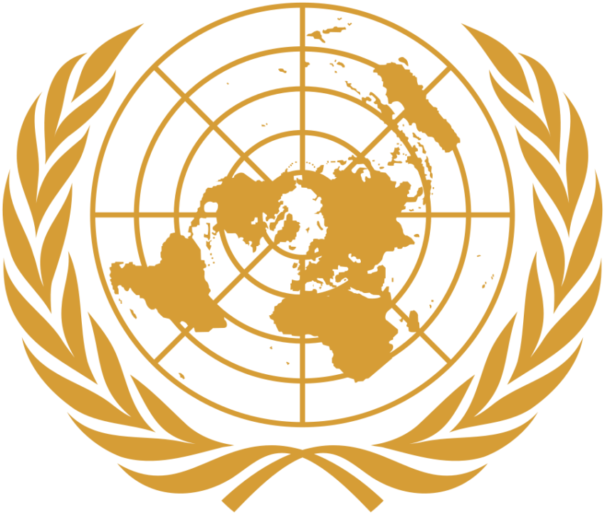 United Nations Security Council