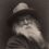 Walt Whitman Quiz